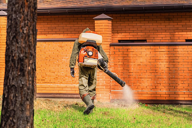 Trusted Rodent Control service in Alamogordo, NM - Nex Pest Control